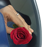 Profile picture of சிவரஞ்சனி ஞானசுந்தரம்