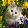 Malathi